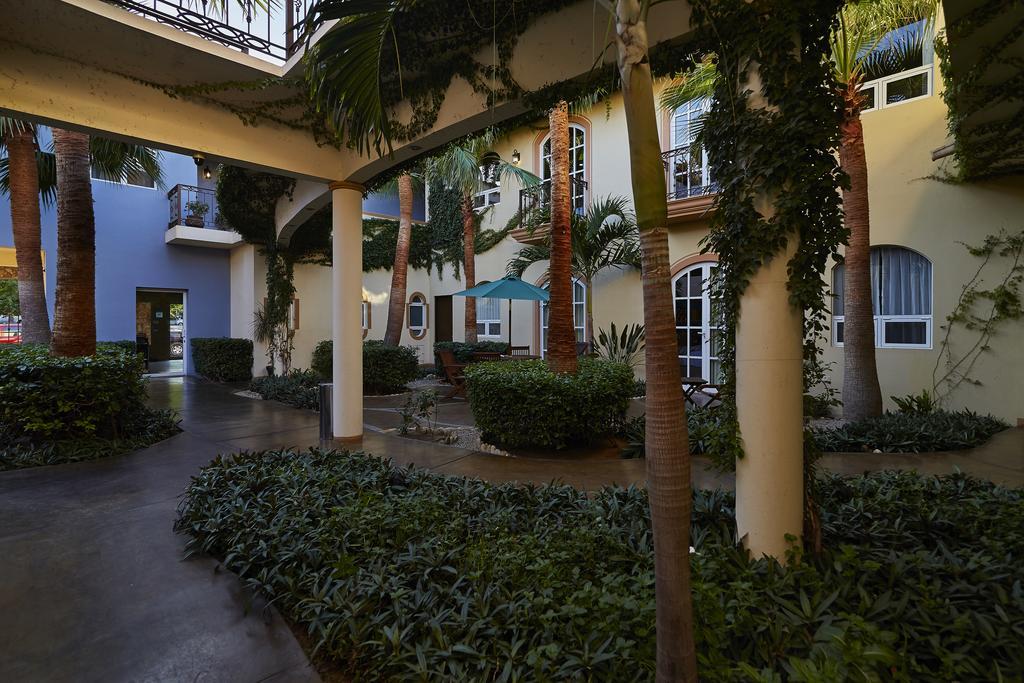 San Angel Suites كابو سان لوكاس المظهر الخارجي الصورة